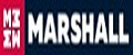 Аналитика бренда marshall на Wildberries