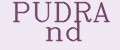 Аналитика бренда PUDRA nd на Wildberries