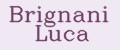 Brignani Luca