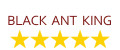Black Ant King