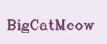 BigcatMeow
