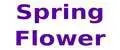Spring Flower