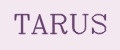 TARUS