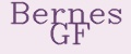 Аналитика бренда Bernes GF на Wildberries