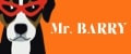 MR.BARRY