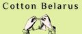 Cotton Belarus