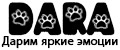 DARA pets
