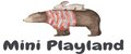 Mini Playland