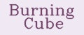 Аналитика бренда Burning Cube на Wildberries