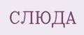 Слюда