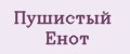 Пушистый Енот