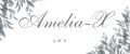 Amelia-X