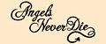 Аналитика бренда Angels Never Die на Wildberries