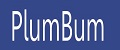 Аналитика бренда PlumBum на Wildberries