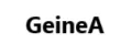 ИП Гейне А.А.