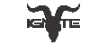 IGNITE LLC