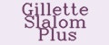 Gillette Slalom Plus