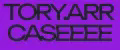 tory.arrcaseeee
