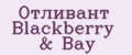 Аналитика бренда Отливант Blackberry & Bay на Wildberries