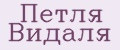 Петля Видаля