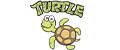 Turtle_kid