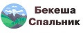 Аналитика бренда Бекеша Спальник на Wildberries