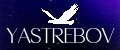 Аналитика бренда YSTREB на Wildberries