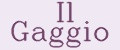 Il Gaggio