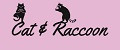 Cat & Raccoon