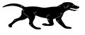 ZooAura