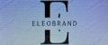 Аналитика бренда EleoBrand на Wildberries