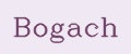 Bogach