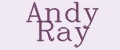 Аналитика бренда Andy Ray на Wildberries