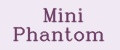Mini Phantom
