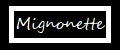 Mignonette