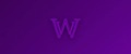 Аналитика бренда WayWild на Wildberries