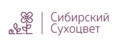 Сибирский сухоцвет