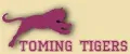 Toming tigers