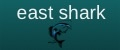 Аналитика бренда East Shark на Wildberries