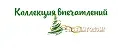 Коллекция впечатлений