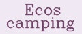 Аналитика бренда Ecos camping на Wildberries
