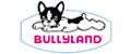 Аналитика бренда Bullyland на Wildberries
