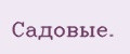Садовые.