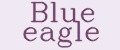 Аналитика бренда Blue Eagle на Wildberries