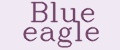 Аналитика бренда Blue eagle на Wildberries