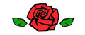RRose