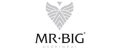 Аналитика бренда Mr. Big на Wildberries