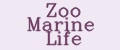 Аналитика бренда Zoo Marine Life на Wildberries