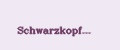 Schwarzkopf...