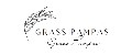GRASS PAMPAS